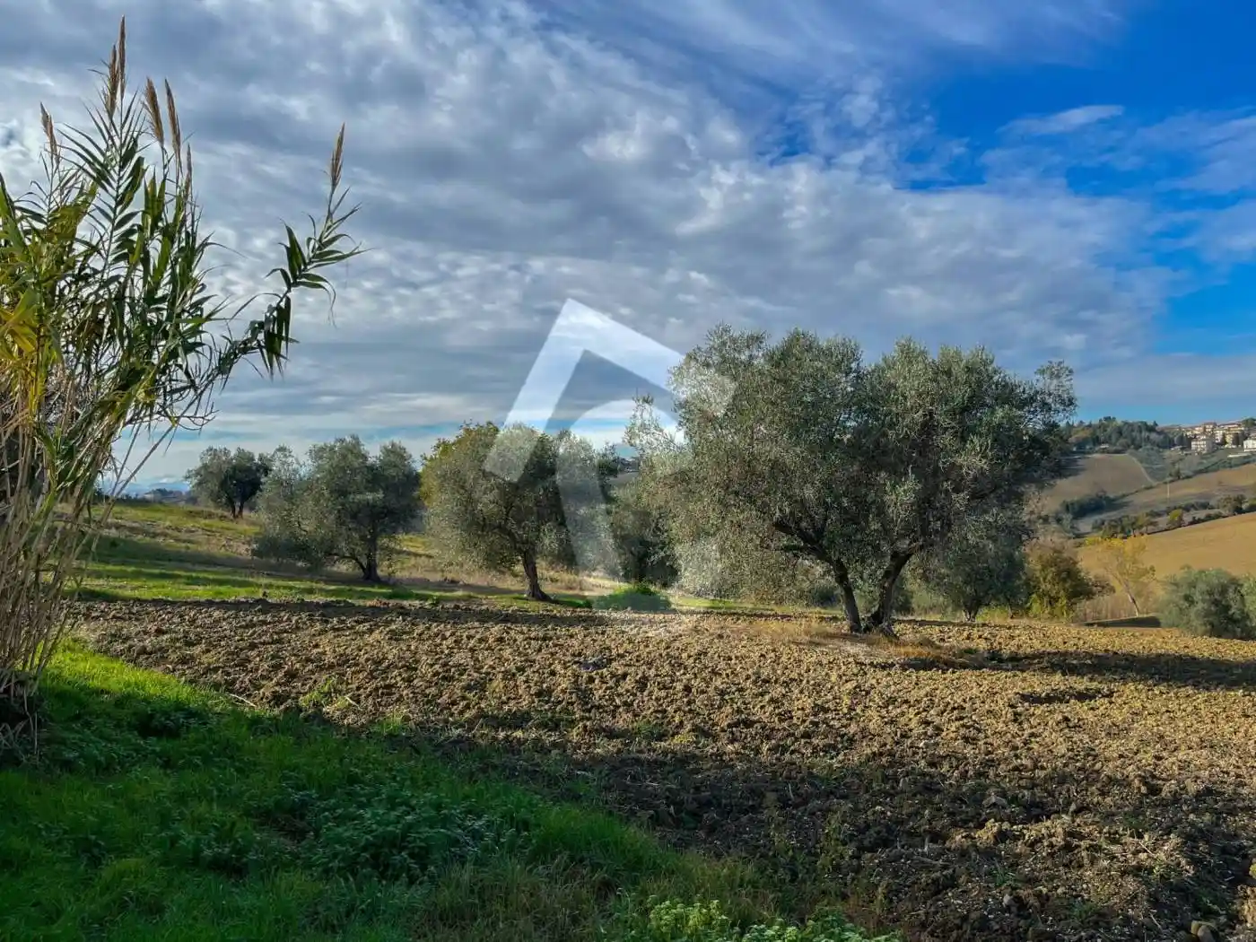 Casale, da ristrutturare, 110 m², Belvedere Ostrense - foto 2