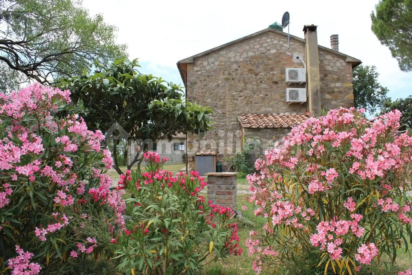 Rustico - Casale - foto 5