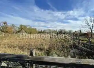 Villa all'asta via Ungheresca 29, Santa Lucia di Piave - foto 4