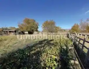 Villa all'asta via Ungheresca 29, Santa Lucia di Piave - foto 5