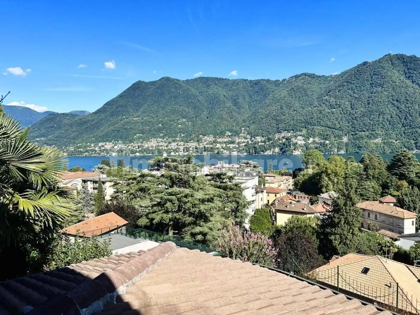 Appartamento in affitto a Cernobbio