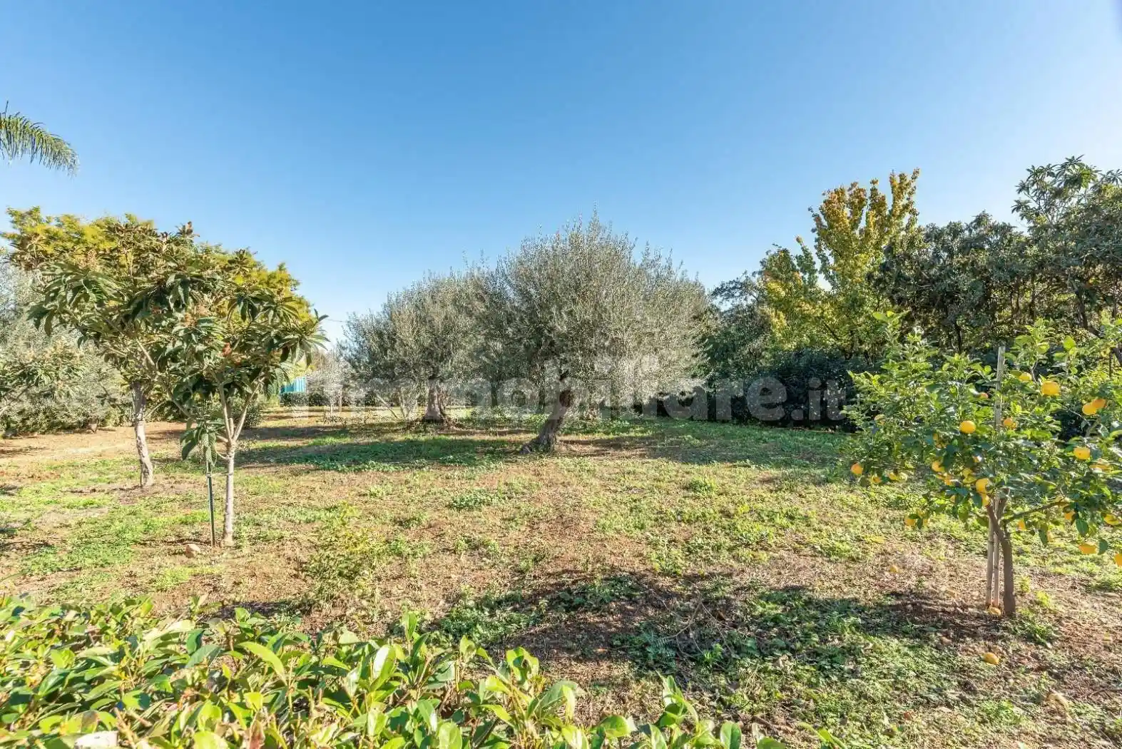 Villa unifamiliare via Ettore Gabrici 22, Olio di Lino, Palermo - foto 5
