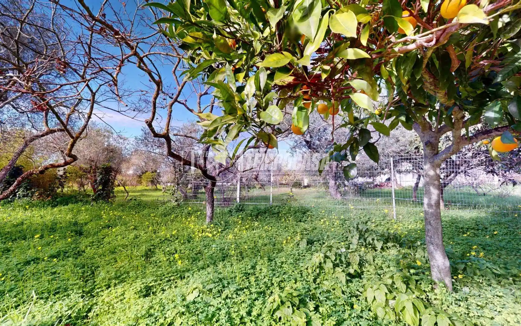 Terratetto unifamiliare Strada Vicinale Costa Paloni, Buddi Buddi, Sassari - foto 2
