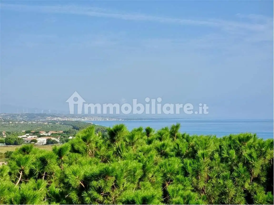 Appartamento in affitto a Stalettì