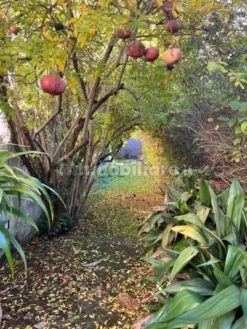 Villa unifamiliare via Ugo Bassi, Sesto Città, Sesto Fiorentino - foto 3