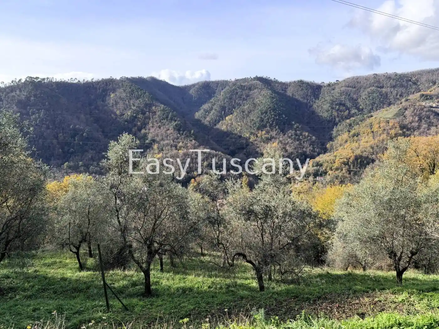 Casale via Melara 5, Stadio, Sant'Antonio, Marasio, Carrara - foto 3