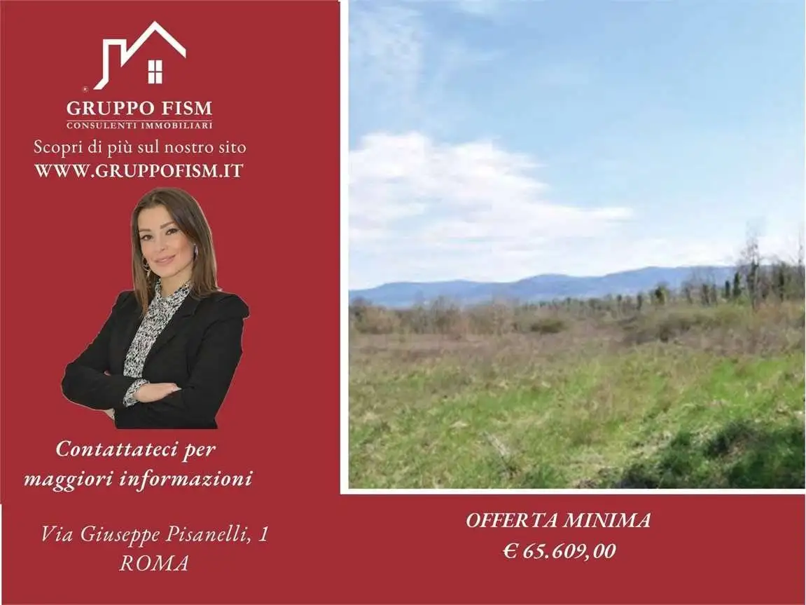 Rustico - Casale in asta a Graffignano