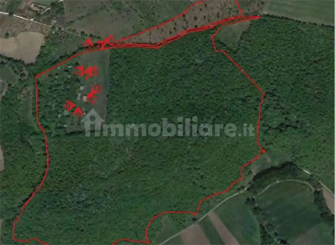 Rustico - Casale - foto 2