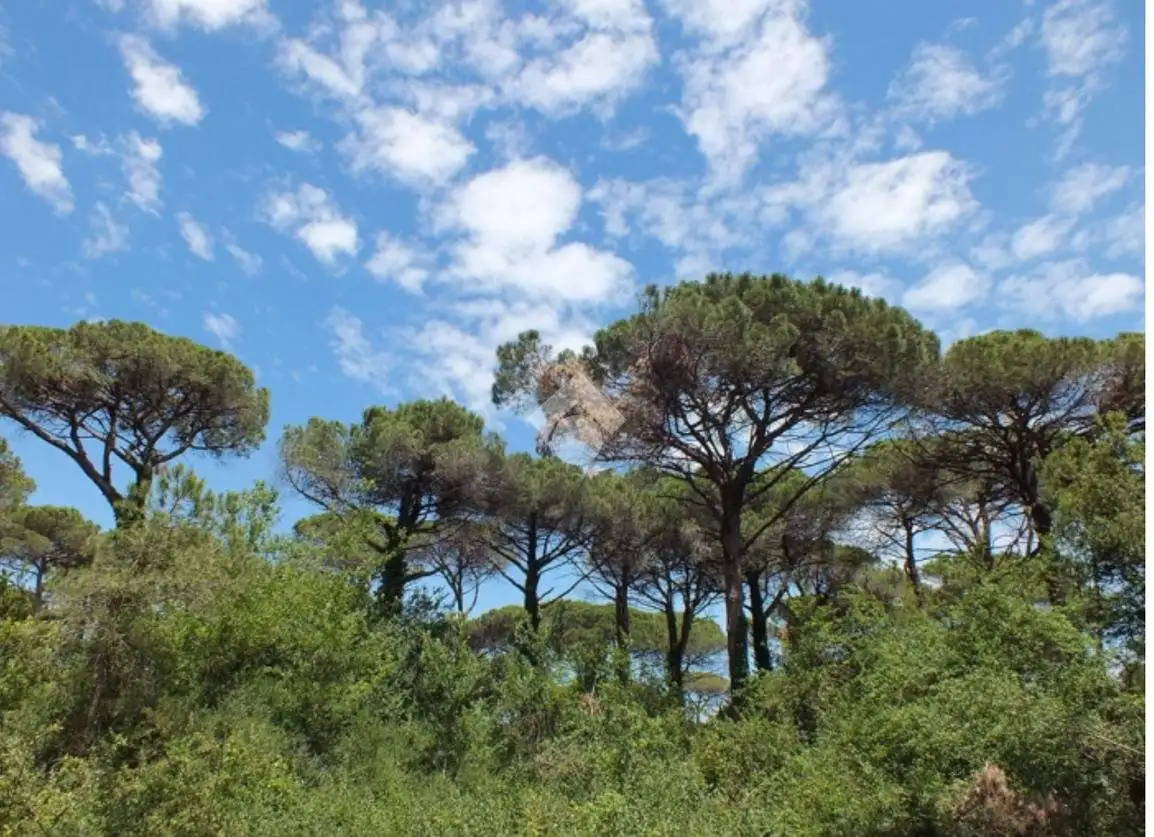 Villa in vendita a Cervia