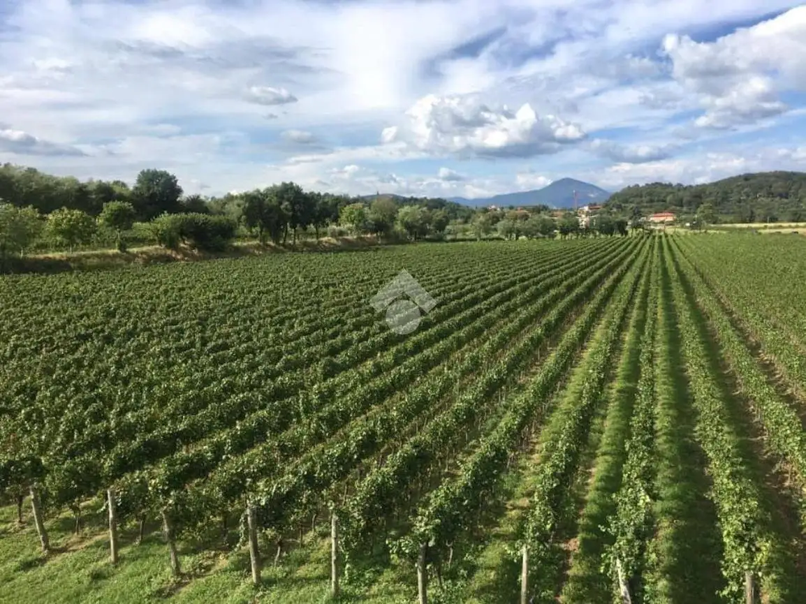 Appartamento in vendita a Erbusco