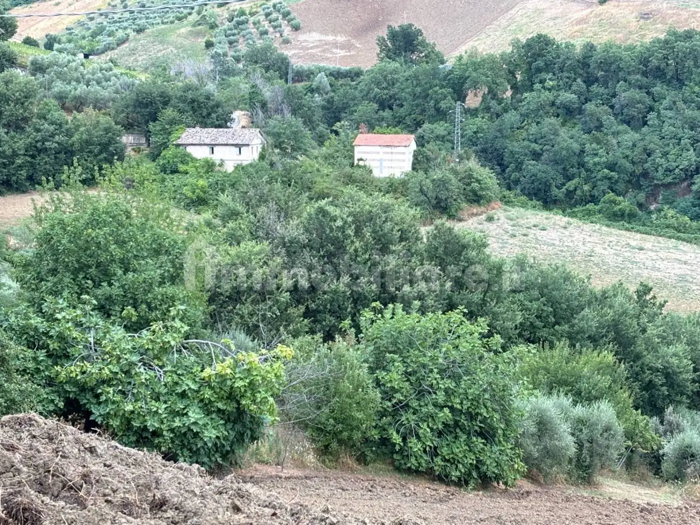 Rustico - Casale in vendita a Castignano