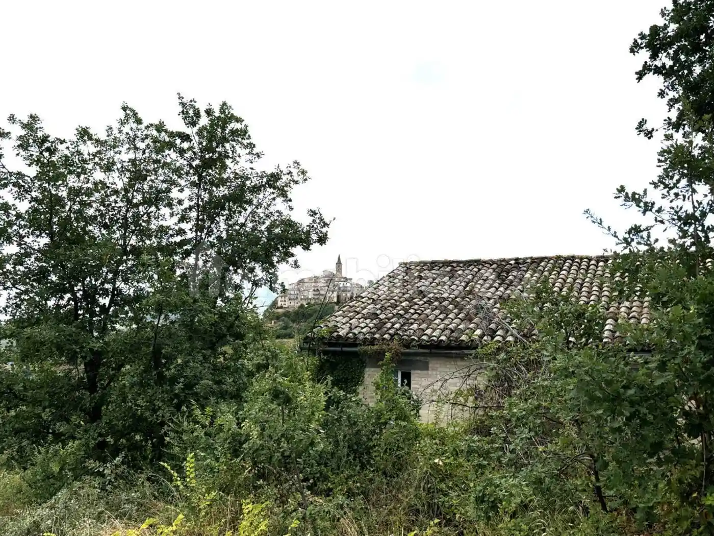 Rustico contrada Galvoni, Centro, Castignano - foto 4