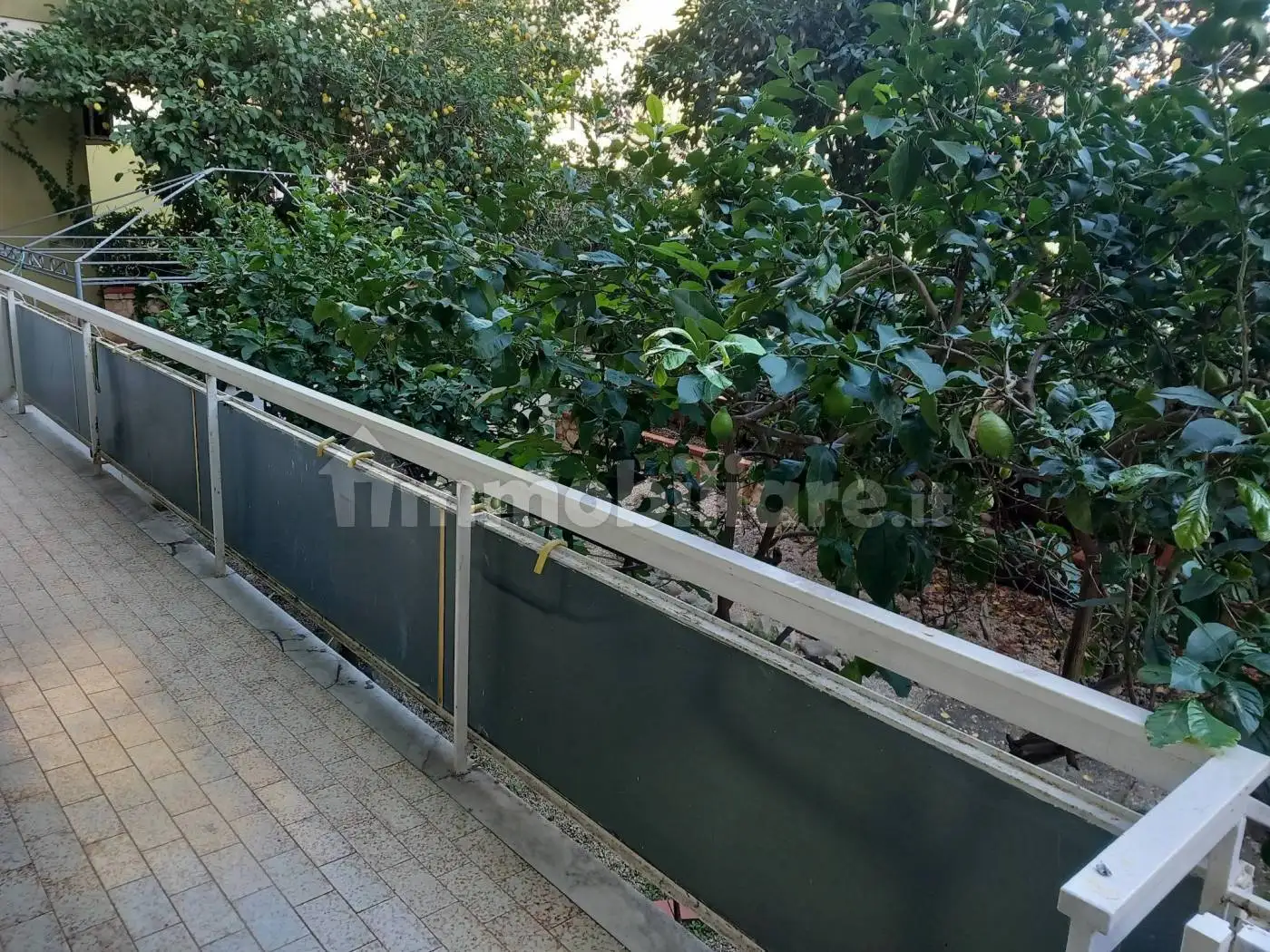 Bilocale via Francesco Petrarca, Centurano, Caserta - foto 2