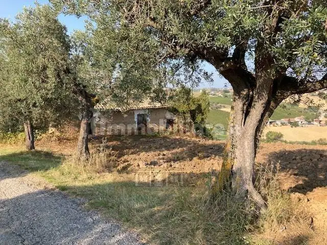 Rustico contrada Pignotto, Controguerra - foto 2