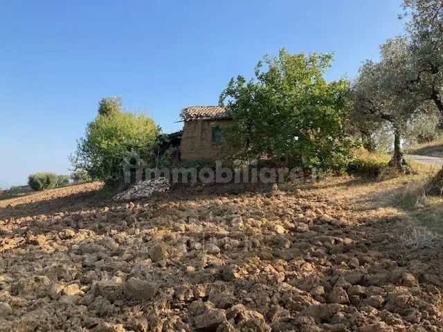 Rustico contrada Pignotto, Controguerra - foto 4