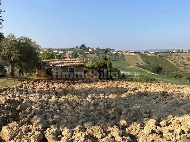 Rustico contrada Pignotto, Controguerra - foto 5