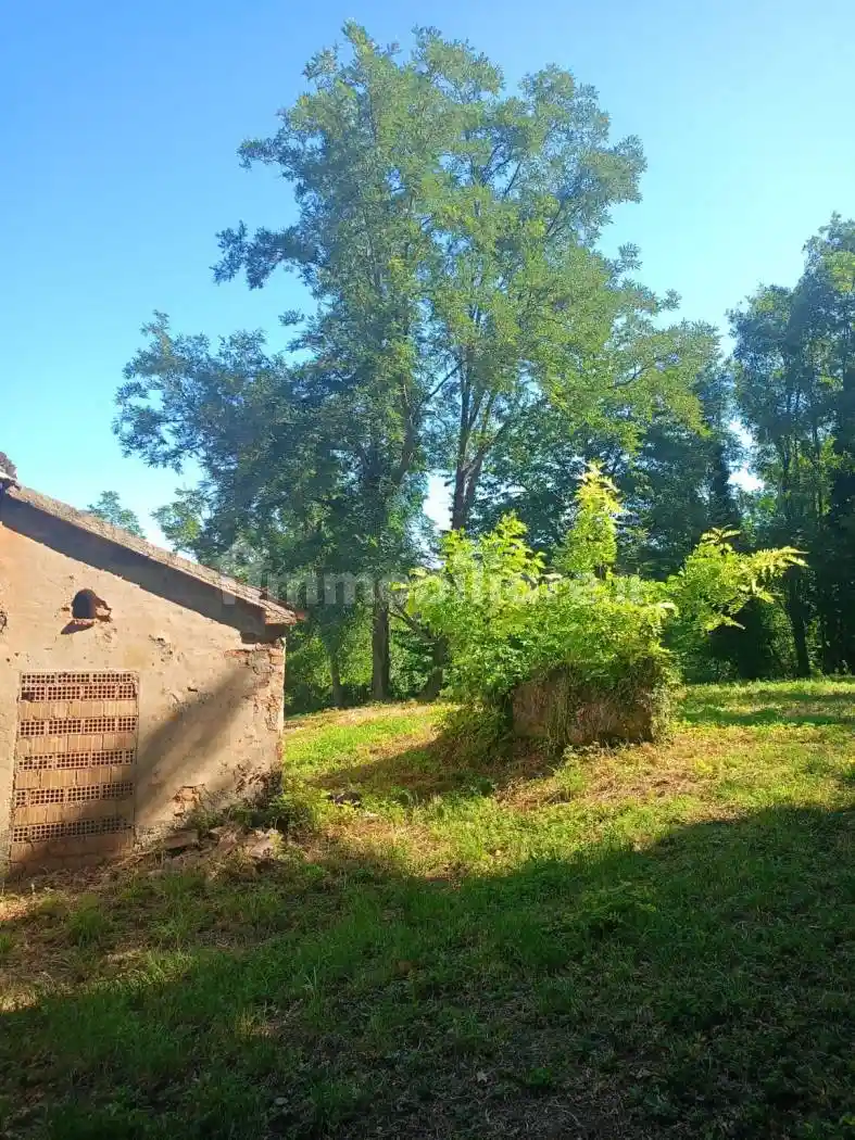 Casale via Flaminia, Montegranaro - Loreto, Pesaro - foto 4