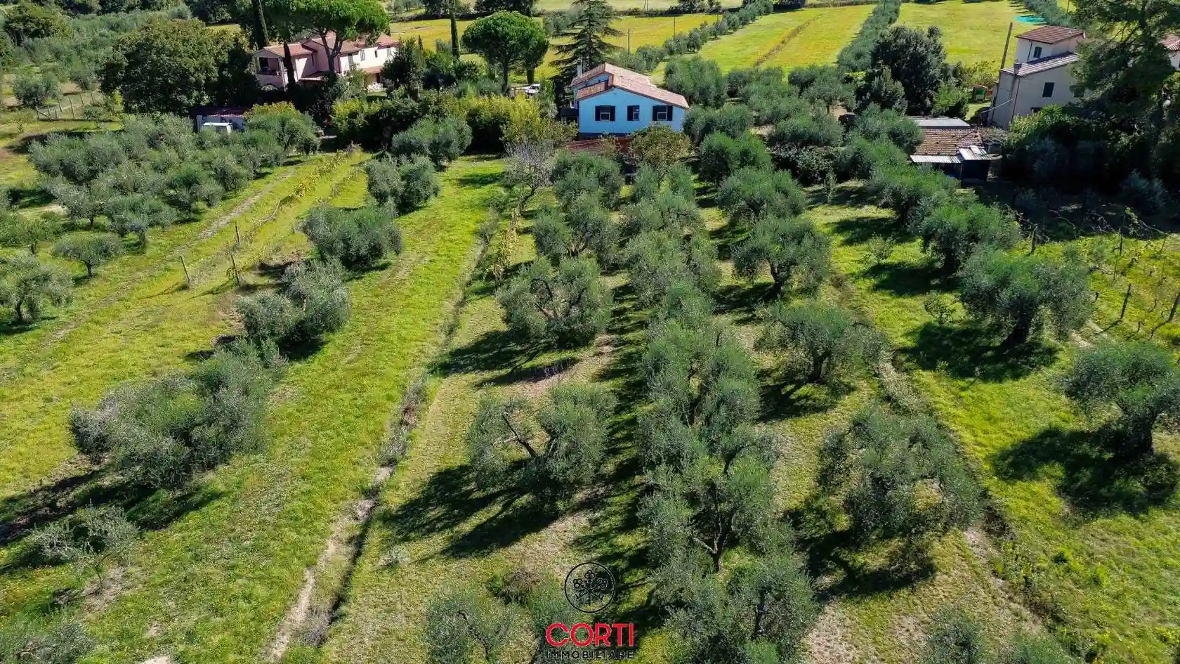 Rustico - Casale - foto 5