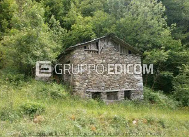 Rustico - Casale in asta a Cedegolo