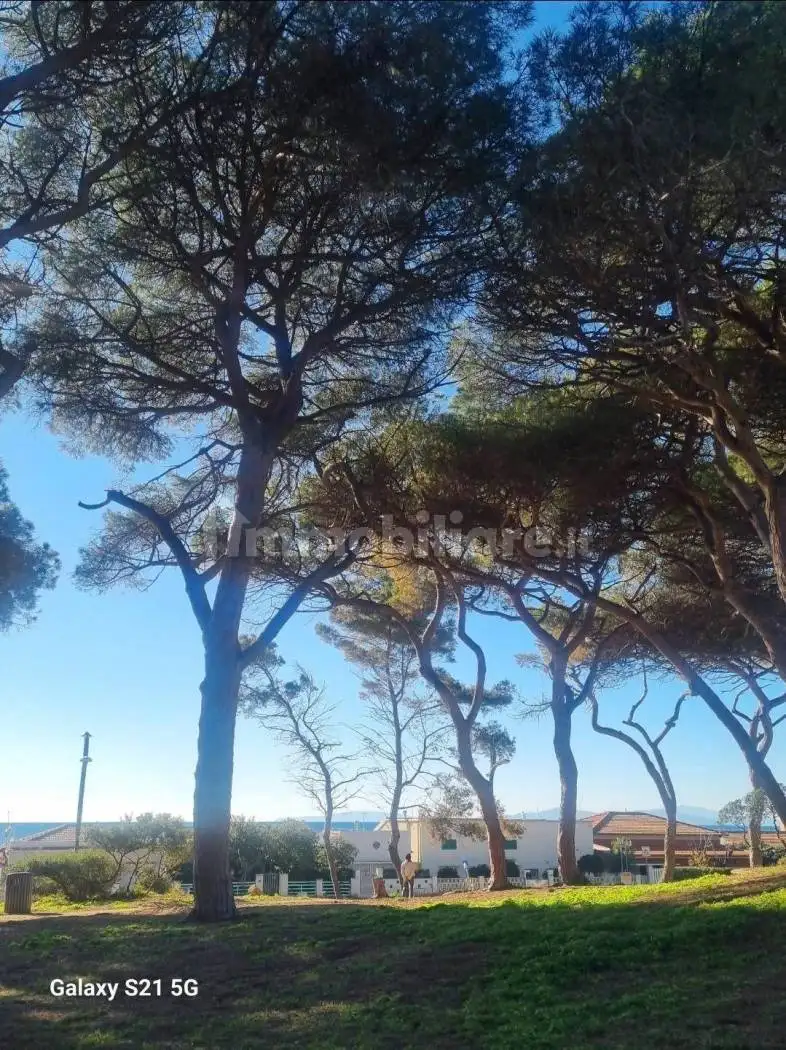 Casa colonica via di padule, Centro, Bagno a Ripoli - foto 3
