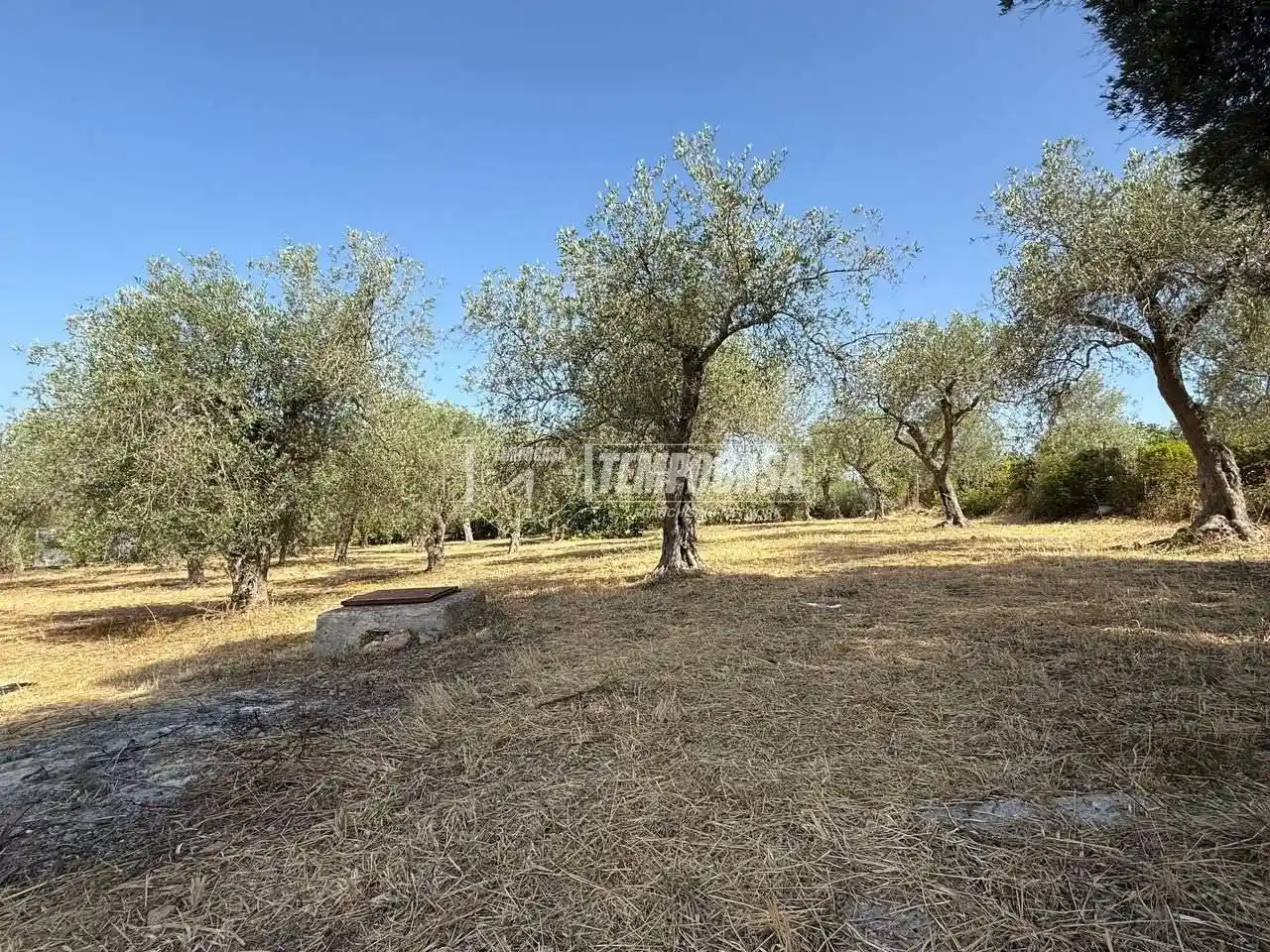 Terratetto unifamiliare Strada Vicinale Maccia d'Agliastru, Caniga, Sassari - foto 5
