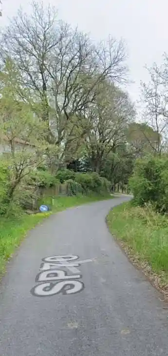 Palazzo - Stabile - foto 3