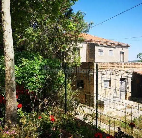 Rustico viale Dei Pini, Centro, Collecorvino - foto 2