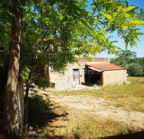 Rustico viale Dei Pini, Centro, Collecorvino - foto 3