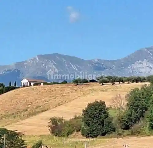 Villa unifamiliare Contrada Sant'Angelo 35, Penne - foto 5