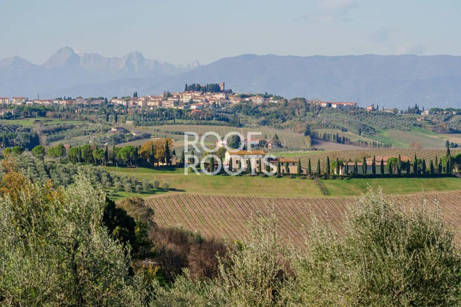 Villa in vendita a Vinci