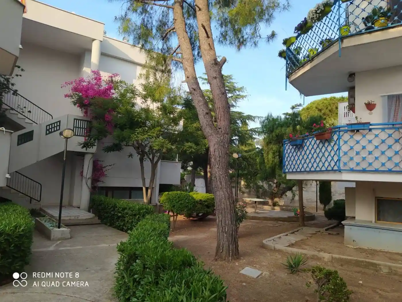 Appartamento in vendita a Bisceglie