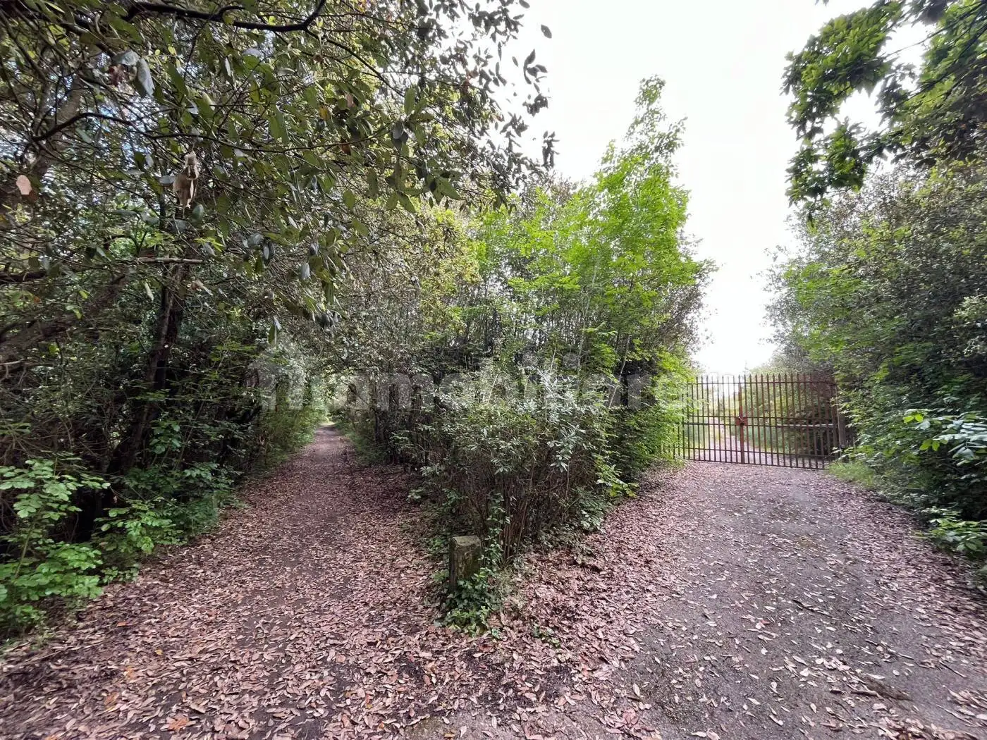 Villa in asta a Fucecchio