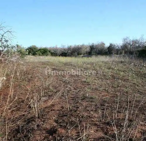 Rustico - Casale in vendita a Naro