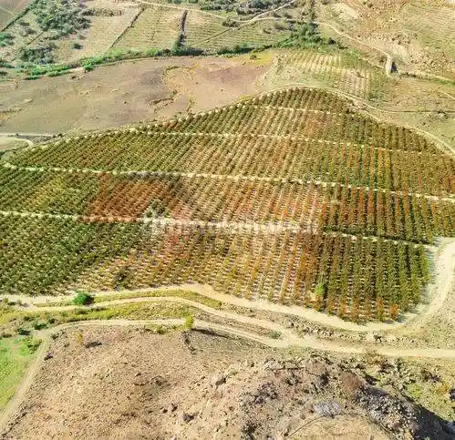 Rustico, buono stato, 596615 m², Butera - foto 5