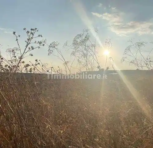 Rustico - Casale in vendita a Naro