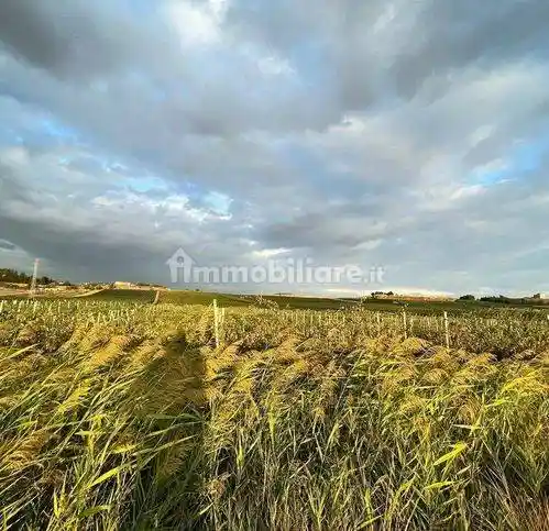 Rustico - Casale in vendita a Naro