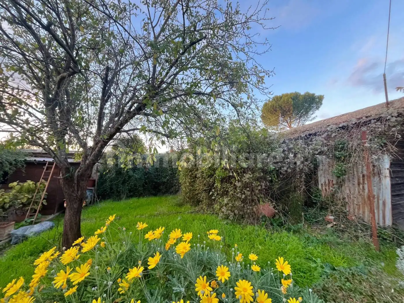 Casa indipendente in vendita a Firenze