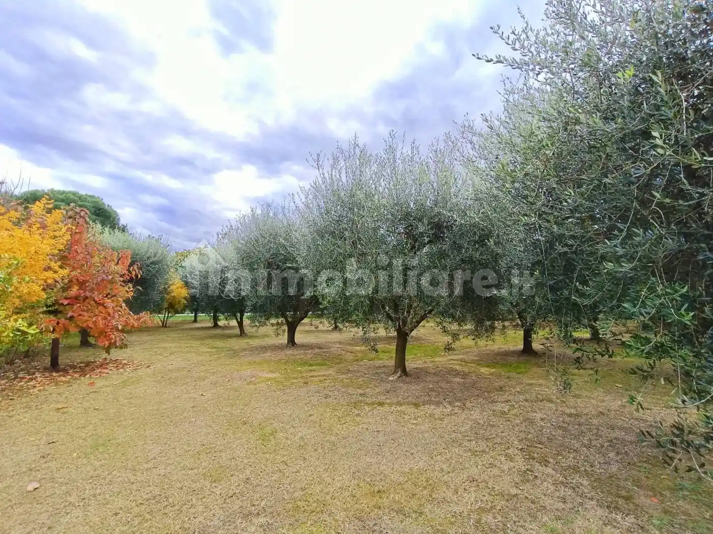 Villa plurifamiliare, ottimo stato, 427 m², Vecchiazzano - Ospedale, Forlì - foto 3