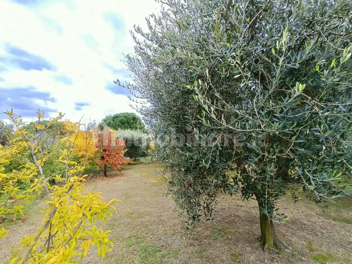 Villa plurifamiliare, ottimo stato, 427 m², Vecchiazzano - Ospedale, Forlì - foto 4