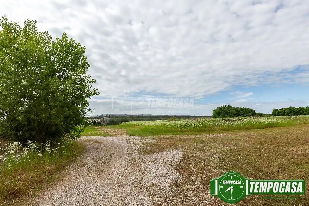 Appartamento su più livelli, Bussolengo - foto 4