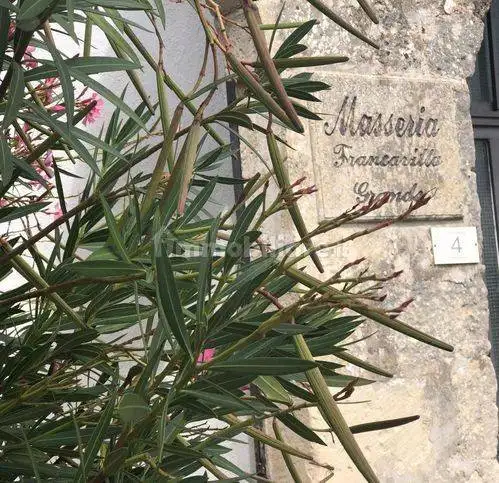 Villa in vendita a Maglie