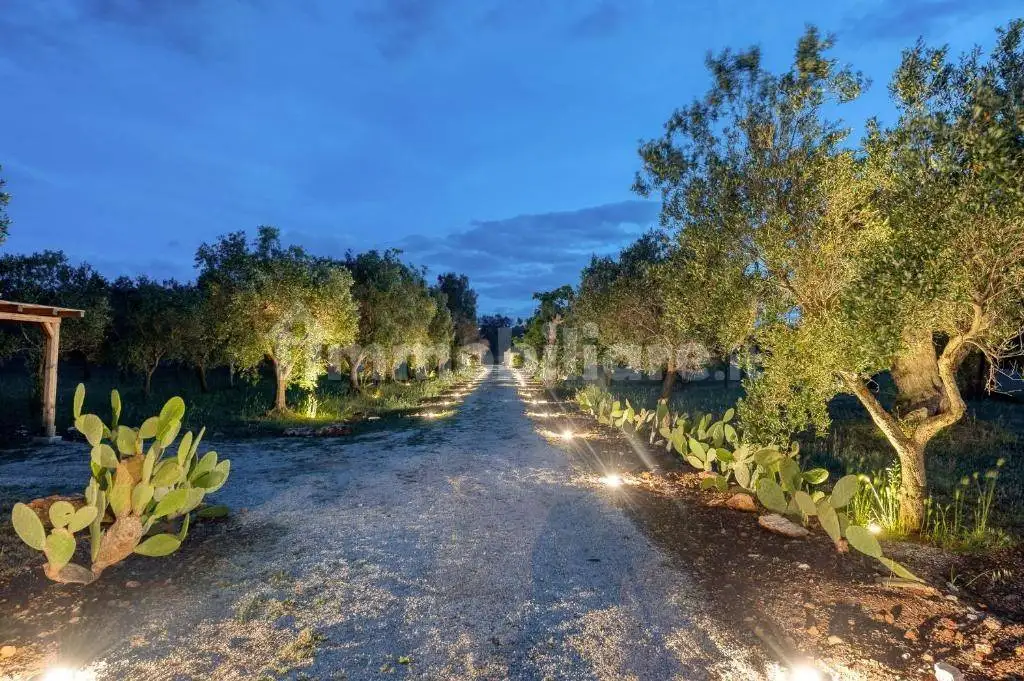 Masseria Contrada Sierri, Carovigno - foto 3