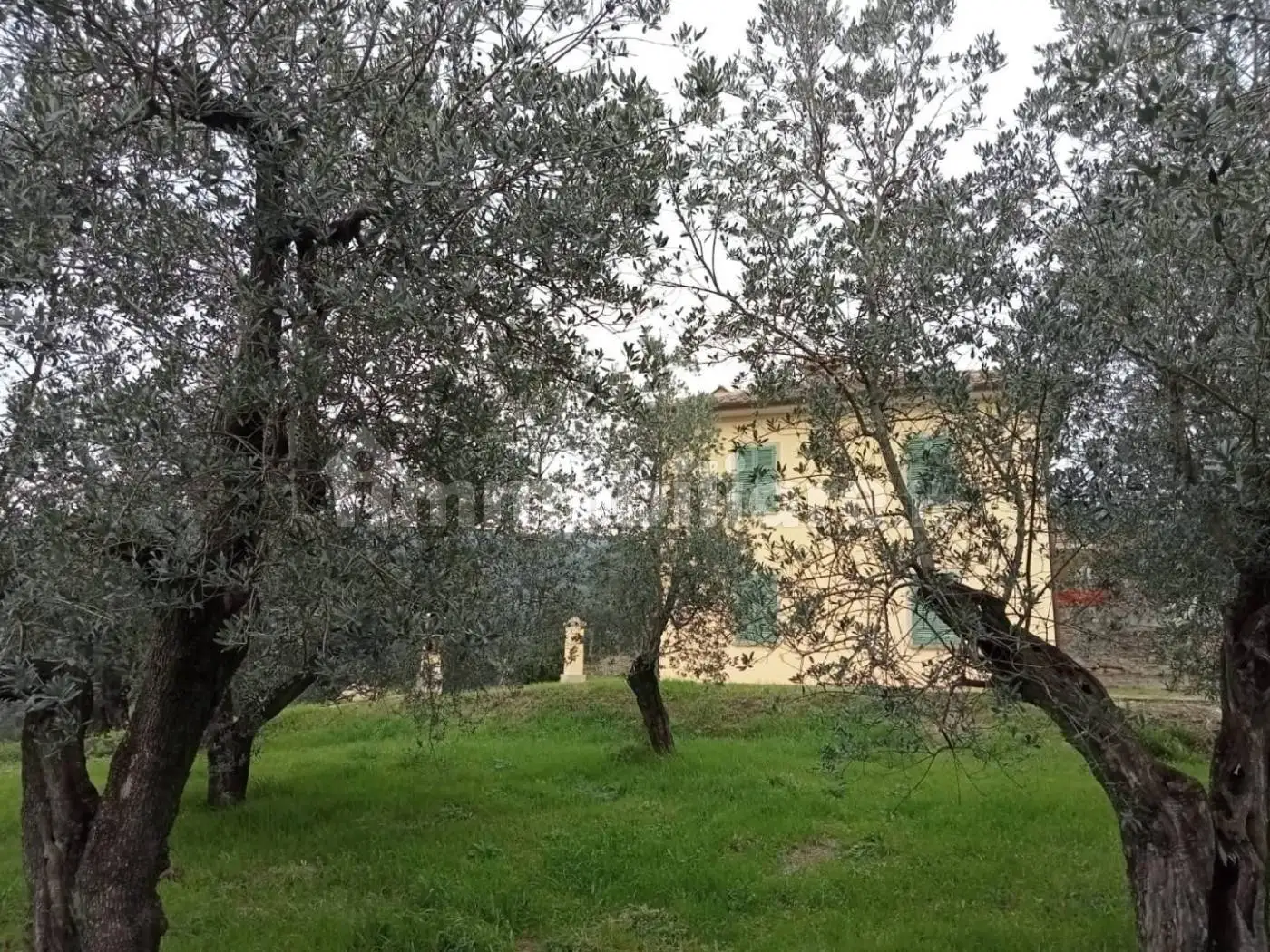 Rustico - Casale in vendita a Vinci