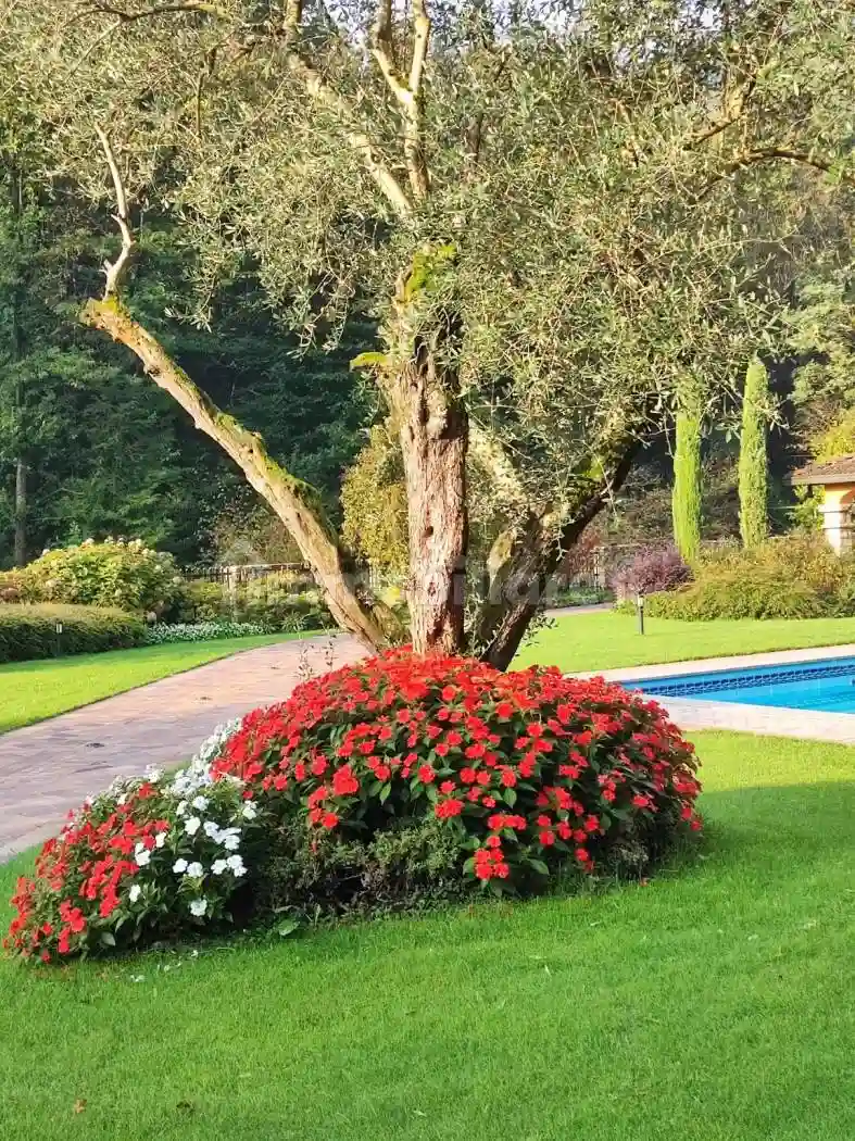 Villa unifamiliare, buono stato, 450 m², Centro, Alzano Lombardo - foto 4