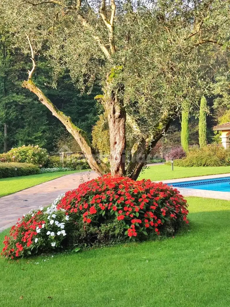 Villa unifamiliare, buono stato, 450 m², Centro, Alzano Lombardo - foto 2