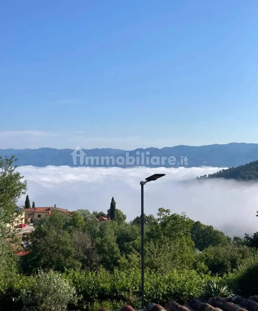 Casa colonica piazza Dante Alighieri, Centro, Borgo San Lorenzo - foto 2