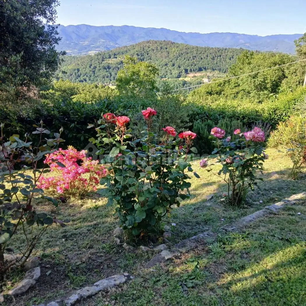 Casa colonica piazza Dante Alighieri, Centro, Borgo San Lorenzo - foto 4