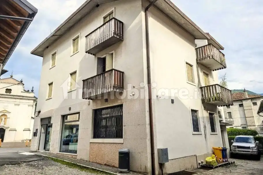 Palazzo - Stabile in asta a Arsiè