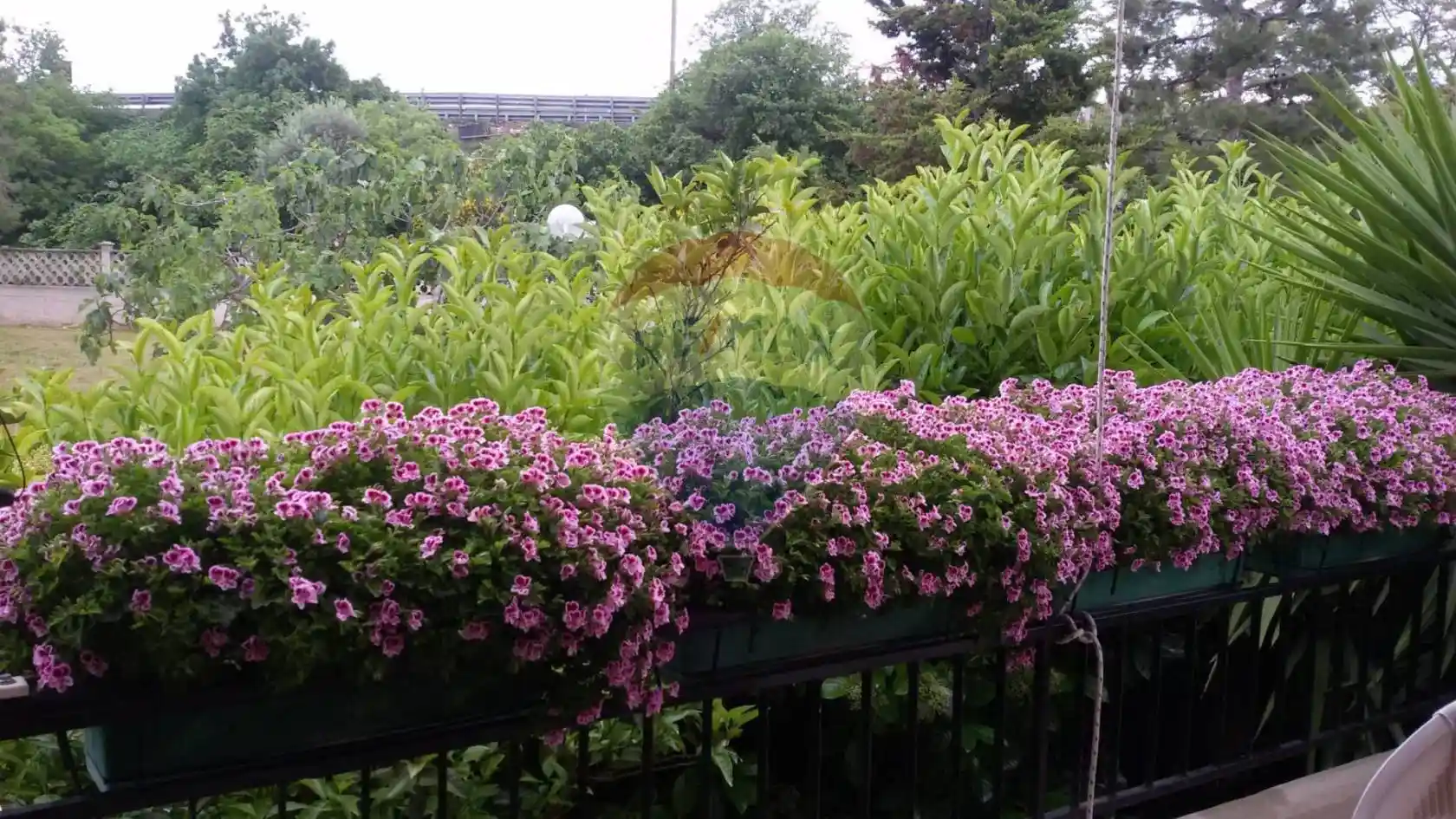 Villa unifamiliare via Arcangelo Nicola Maione 32, Palese, Bari - foto 4