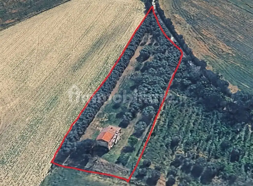 Rustico via Agugliano, 2, Camerata Picena - foto 2